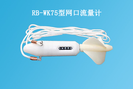 RB-WK75型網(wǎng)口流量計